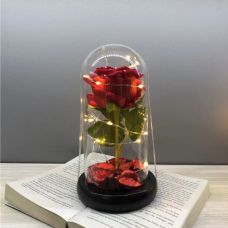 Golden rose under glass with LED backlight