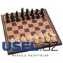 Chess Star Kolej Satranç Takımı