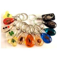Real scorpion four leaf clover keychain mixed style 