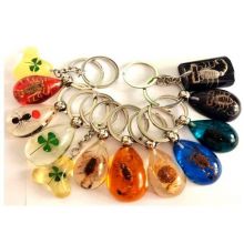 Real scorpion four leaf clover keychain mixed style 