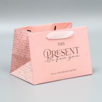 Gift bag with a wide bottom “Present”