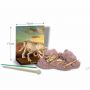 Excavation kit 4M "Triceratops skeleton"