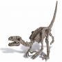 "Velosiraptora Skeleti" 4M-ı qazıntıları üçün dəst