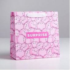 Laminated square bag Surprise
