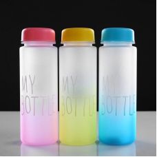 Water bottle with filter "My bottle", 500 ml