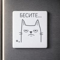 Магнит USEL.az «Бесите…»