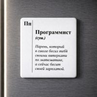 USEL.az “Proqramçı” maqnit