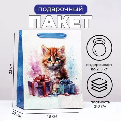 "Kitten" Gift Bag
