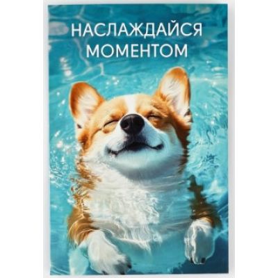 Postcard "Corgi - Enjoy the Moment", 12x18 cm