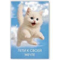 Открытка «Лети к своей мечте», 12×18 см