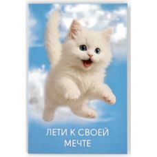 Postcard "Fly to your dream", 12x18 cm