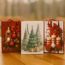 Пакет подарочный новогодний Размер - 24х18х8,5 см