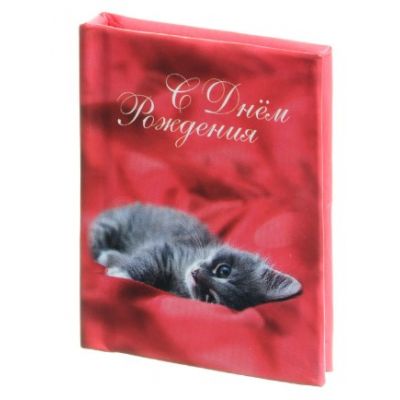 Книжка-магнит «С днём рождения. Серый котик», мини-формат