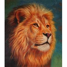 Almaz mozaika Şir 30×40 sm Diamond Painting