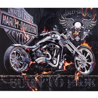 Almaz mozaika Harley-Davidson motosiklet 30×40 sm