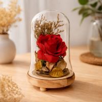 Сувенирная Роза под стеклом 17 см