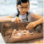 Excavation kit 4M "Excavate the skeleton. Pteranodon."