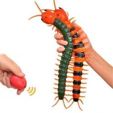 Infrared Scolopendra