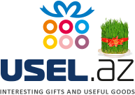 USEL Gadget shop